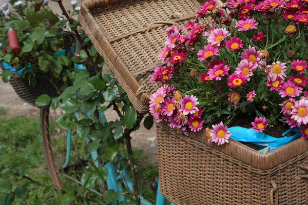 Mavi eski bisiklette çiçekli sepet