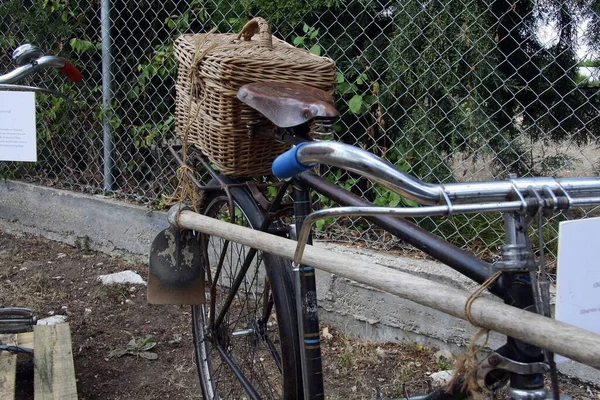 Hasır sepetli eski bisiklet