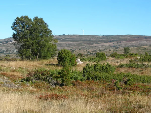 Biz dağa yürürken doğal manzara