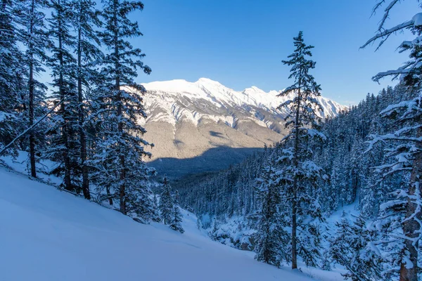 Banff Sightseeing Gondola Está Localizado Apenas Minutos Cidade Banff Ombro — Fotografia de Stock