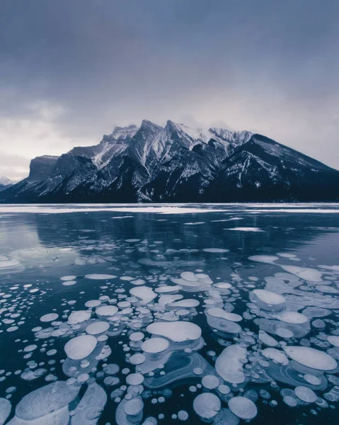 Donmuş Kanada göller pek çok eğlenceli, metan kabarcıklar ve sıra dışı deneyim sağlayabilir. Seyahat Alberta, Kanada Rocky Dağları, Minnewanka, İbrahim, yaşam tarzı, Milli Parkı, Banff, Canada, Kızıl geyik