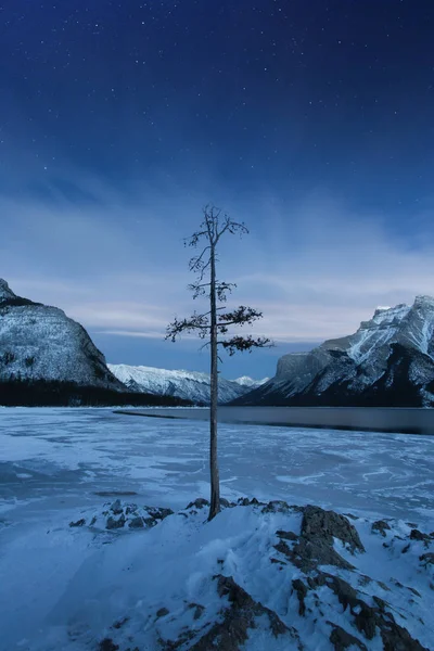 Замороженные Канадские Озера Могут Предложить Много Веселья Метановых Пузырьков Необычных — стоковое фото