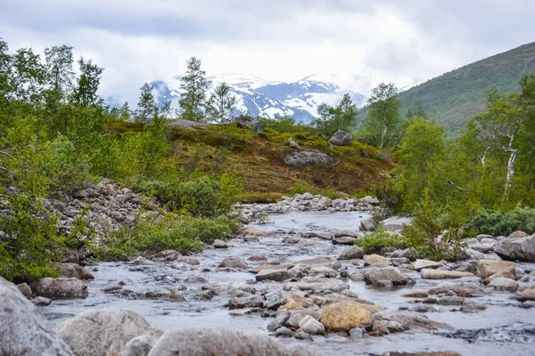 Trolltunga zammı, Ringedalsvatnet Gölü, Norveç, Güzel scandin — Stok fotoğraf