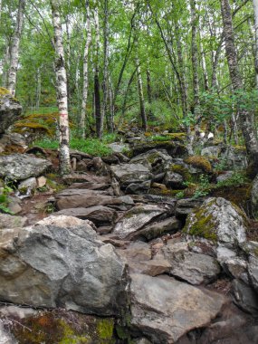 Trolltunga zammı, Ringedalsvatnet Gölü, Norveç, Güzel scandin