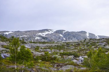 Trolltunga zammı, Ringedalsvatnet Gölü, Norveç, Güzel scandin