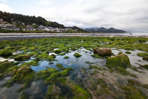 Cannon Beach es una ciudad ubicada en el condado de Clatsop en el estado estadounidense de Oregon. , — Foto de Stock