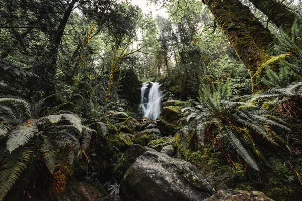 Merriman Falls położone są na jeziorze Quinault w Olympic Nati — Zdjęcie stockowe