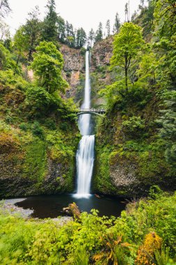 Portland, Oregon, Abd 06,12,2019. Multnomah Şelalesi en vi