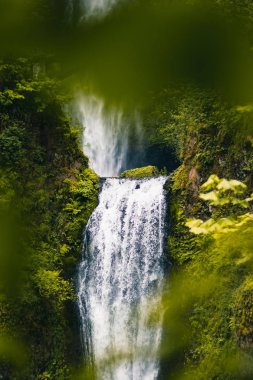 Portland, Oregon, Abd 06,12,2019. Multnomah Şelalesi en vi
