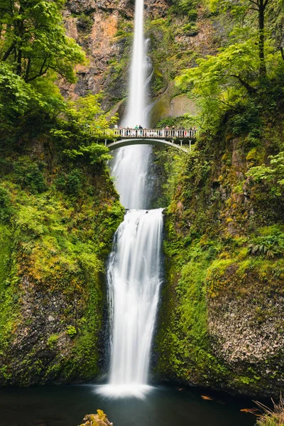 Portland, Oregon, EUA 06,12,2019. Multnomah Falls é o mais vi — Fotografia de Stock