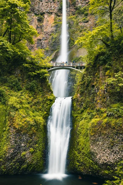 Portland, Oregon, USA 06, 12, 2019. Multnomah Falls är den mest vi — Stockfoto