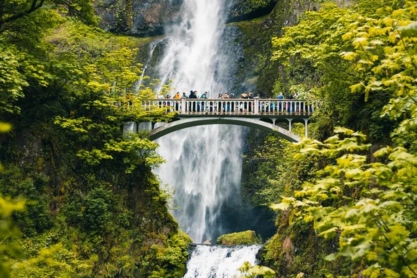 Portland, Oregon, USA 06, 12, 2019. Multnomah Falls är den mest vi — Stockfoto