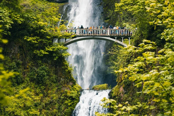 Portland, Oregon, USA 06, 12, 2019. Multnomah Falls är den mest vi — Stockfoto