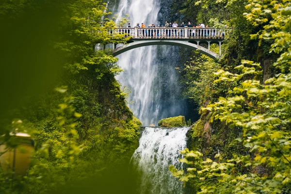 Portland, Oregon, USA 06, 12, 2019. Multnomah Falls är den mest vi — Stockfoto