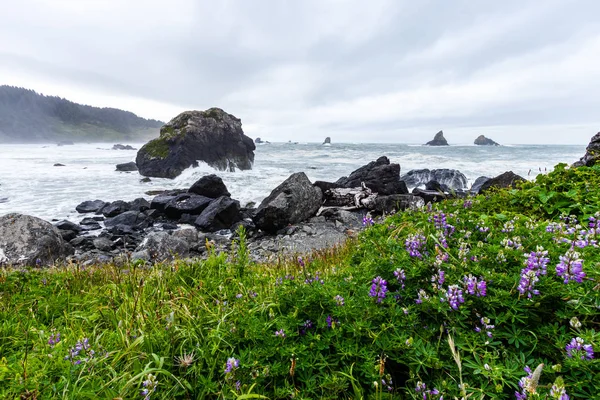 Samuel H Boardman State Park, Oregon, West Coast, Estados Unidos — Foto de Stock