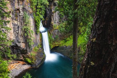 Toketee Falls, Oregon, Umpqua National Forest, Amerika Birleşik Devletleri 