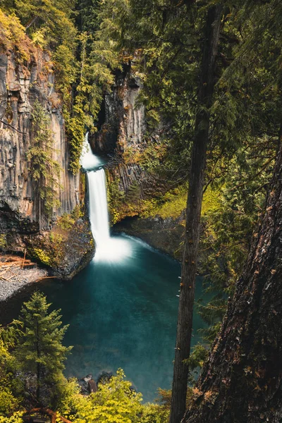 Toketee Falls, Oregon, Umpqua National Forest, Förenta staterna — Stockfoto