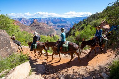 Grand Canyon, Arizona, ABD - 20.Haziran 2019 - Büyük Kanyon bir aziz