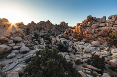 Joshua Tree Ulusal Parkı, Califo'da bulunan bir Amerikan milli parkıdır.