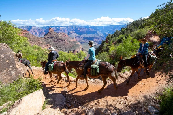 Grand Canyon, Arizona, ABD - 20.Haziran 2019 - Büyük Kanyon bir aziz