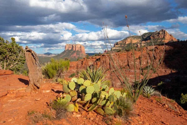 Sedona, Amerika Birleşik Devletleri'nin Arizona eyaletinde yer alan bir şehirdir., 