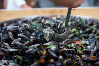 Midye hazırlanması. Bir tavada midye. Sokak gıda, sıcak. seçici odak, kopya alanı.