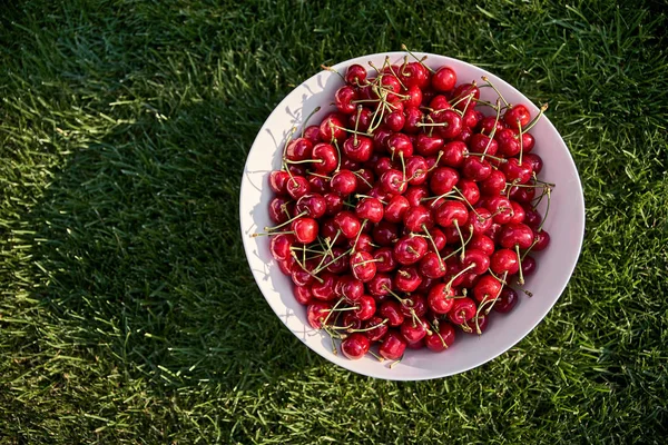 Cerises Mûres Rouges Sur Une Assiette Blanche Sur Herbe Verte — Photo