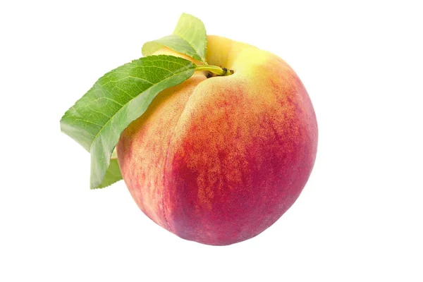One Peach Isolated White Close — Stock Photo, Image