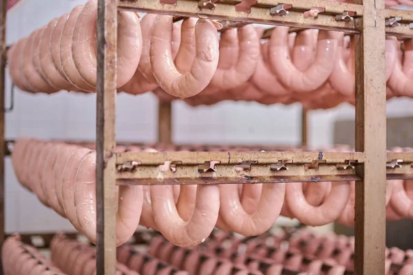 Raw sausages on racks in storage room at meat processing factory. Sausage workshop the food processing industry.