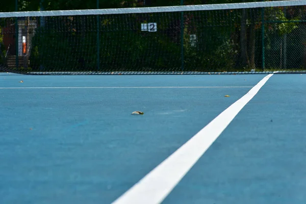 Теннисные корты с синей поверхностью и сеткой — стоковое фото