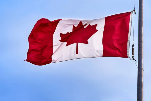 加拿大国旗在微风中飘扬在金属杆顶部 顶着蓝天 特写镜头 — 图库照片