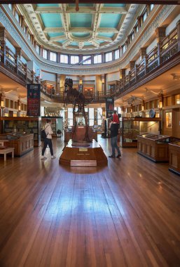 Montreal, Quebec, Kanada 14 Eylül 2018: Doğa tarihi, Mcgill Üniversitesi Müzesi biridir Montreal aileler için en favori Müzesi.