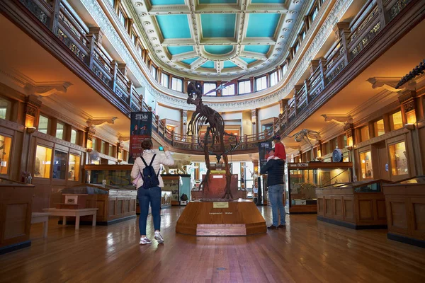 Montreal, Quebec, Canadá 14 de setembro de 2018: Museu de História Natural da Universidade McGill, é um dos museus mais favoritos para famílias em Montreal . — Fotografia de Stock