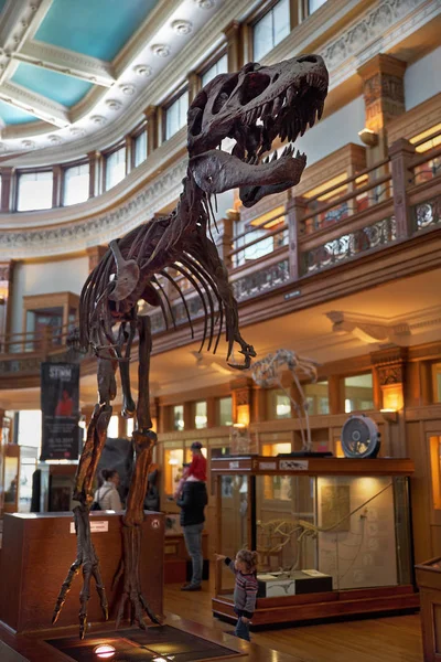 Montreal, Quebec, Canadá 14 de setembro de 2018: Museu de História Natural da Universidade McGill, é um dos museus mais favoritos para famílias em Montreal . — Fotografia de Stock