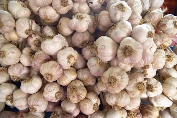 新しく収穫された白とピンクのニンニク電球は、地元の農家市場で農場からテーブルに直接販売しています。野菜の背景。果物市場。健康食品 — ストック写真