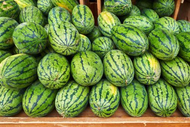 Karpuz farmer's Market ekranda