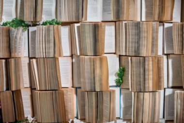 Bulanık arka plan . Arka plan duvarda büyük bir kitaplık veya kitap kılıfı.