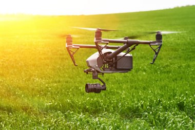 Quadcopter ve kamera alan üzerinde uçuyor. Fotoğraf quadcopter drone bir alanda buğday bitkileri genç yeşil filizüzerinde gezinen. Akıllı tarım konsepti.