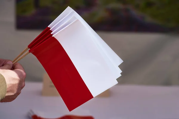 Hand holding Polish flag , close up. symbolism, the flag of the country of Poland