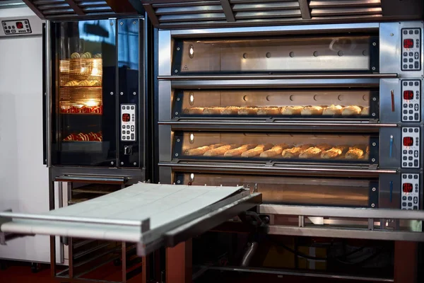 Catering için pişmiş fırın ürünleri ile endüstriyel konveksiyon fırın. Profesyonel mutfak ekipmanları