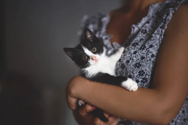 Evsiz hayvanlar. kameraya bakarak, elinde kedi attı. Evsizler barınağında hayvan refahı. Düşük tuşlu, tonlu fotoğraf — Stok fotoğraf