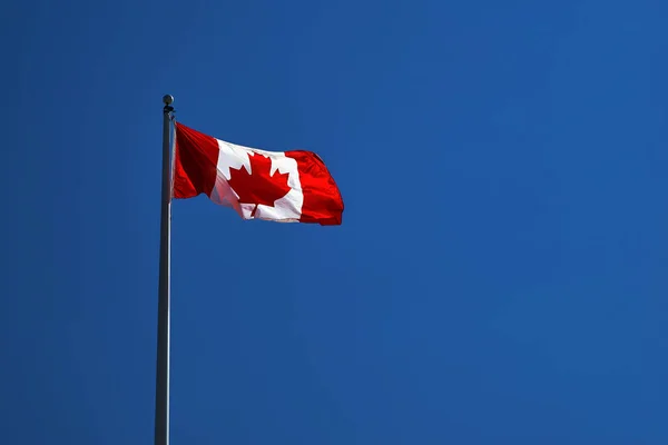 Kanadyjski banderą, w świetle wietrzyk na metalowej sztandze przeciw błękitne niebo — Zdjęcie stockowe
