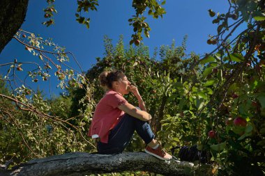 Ağaçtaki genç kadın, güneşli güzel bir yaz gününde elma ağacından elma toplayarak bir elma ısırır.