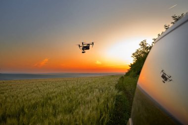 Quadcopter ve kamera alan üzerinde uçuyor. Fotoğraf quadcopter drone bir alanda buğday bitkileri genç yeşil filizüzerinde gezinen. Akıllı tarım konsepti