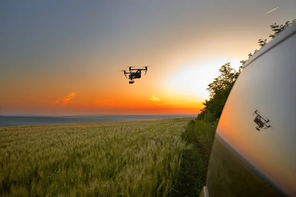 Quadcopter ve kamera alan üzerinde uçuyor. Fotoğraf quadcopter drone bir alanda buğday bitkileri genç yeşil filizüzerinde gezinen. Akıllı tarım konsepti