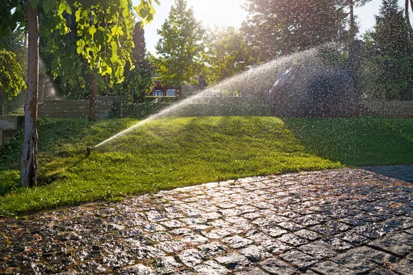 Sproeiers automatisch besproeien gras op een warme zomerdag. Besparingen van water door sproeisysteem met instelbare kop. Automatische apparatuur voor irrigatie en onderhoud van gazons, tuinieren — Stockfoto