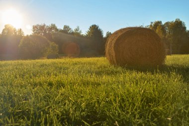 saman balya güzel gün batımını arka plan üzerine yaz alanı. Tarım kavramı. kopya alanı.