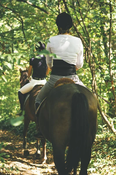 back view of women sitting in saddles and riding horses in forest