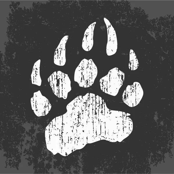 ayı izi, t-shirt baskı, vektör logosu