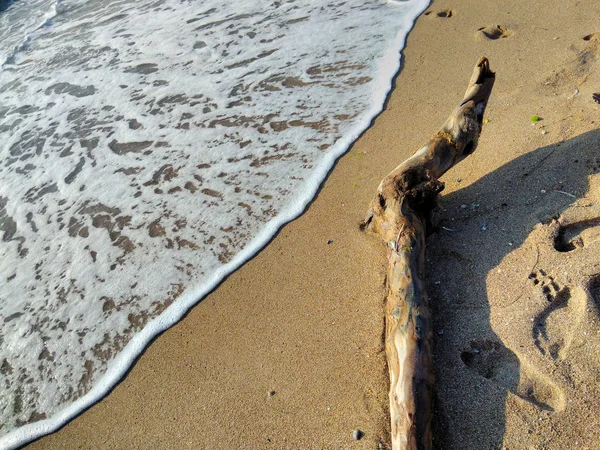 Sahil, kum plaj üzerinde oturum